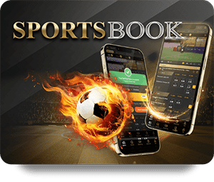 VF555 Bet Online Payment Methods Explained